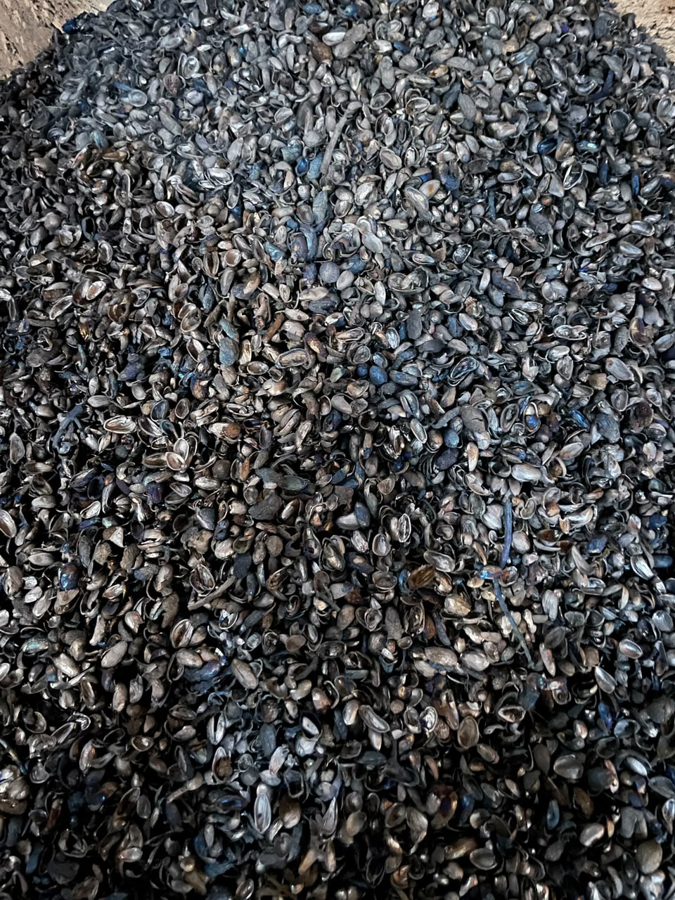 کربن پسته اعلا
