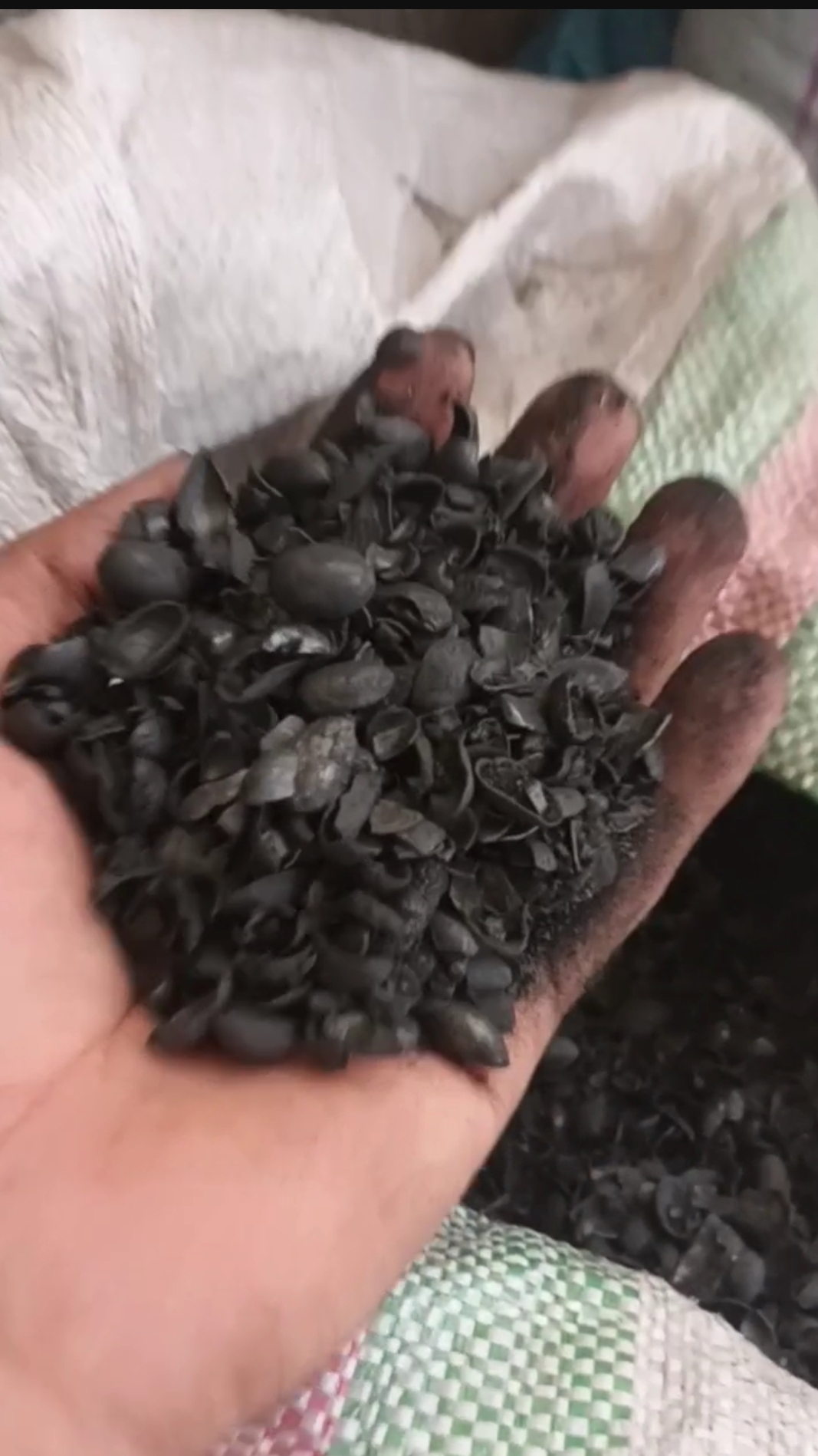 فروش کربن پسته تناژ بالا
